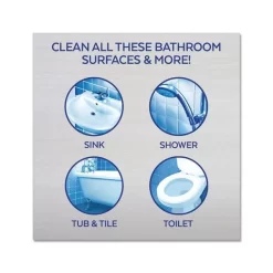 LYSOL Brand Mold And Mildew Remover With Bleach, 32 Oz Spray Bottle, 12/Carton -Professional cleaning tool store 154a0fa0726acbd7c743386c188a9602e0