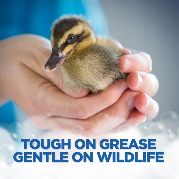 Dawn Ultra Dishwashing Liquid Dish Soap, Original Scent, 7.5 Oz, Pack Of 18 Bottles 2 Dawn Ultra Dishwashing Liquid Dish Soap, Original Scent, 7.5 Oz, Pack Of 18 Bottles - Image 2