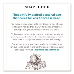 Soapbox Hand Soap, Sea Minerals And Blue Iris, 12 Oz, 12/Carton -Professional cleaning tool store 3a82dedea48219ca6adcab92141824aab5