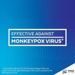 Lysol Disinfecting Wipe Bucket W/Wipes -Professional cleaning tool store 54ddb06cacfc483e85feb708a99344584e 1