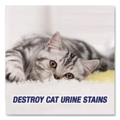 RESOLVE Urine Destroyer, Citrus, 32 Oz Spray Bottle -Professional cleaning tool store 6e26f959f1ab7e15620d572918ddd6017b